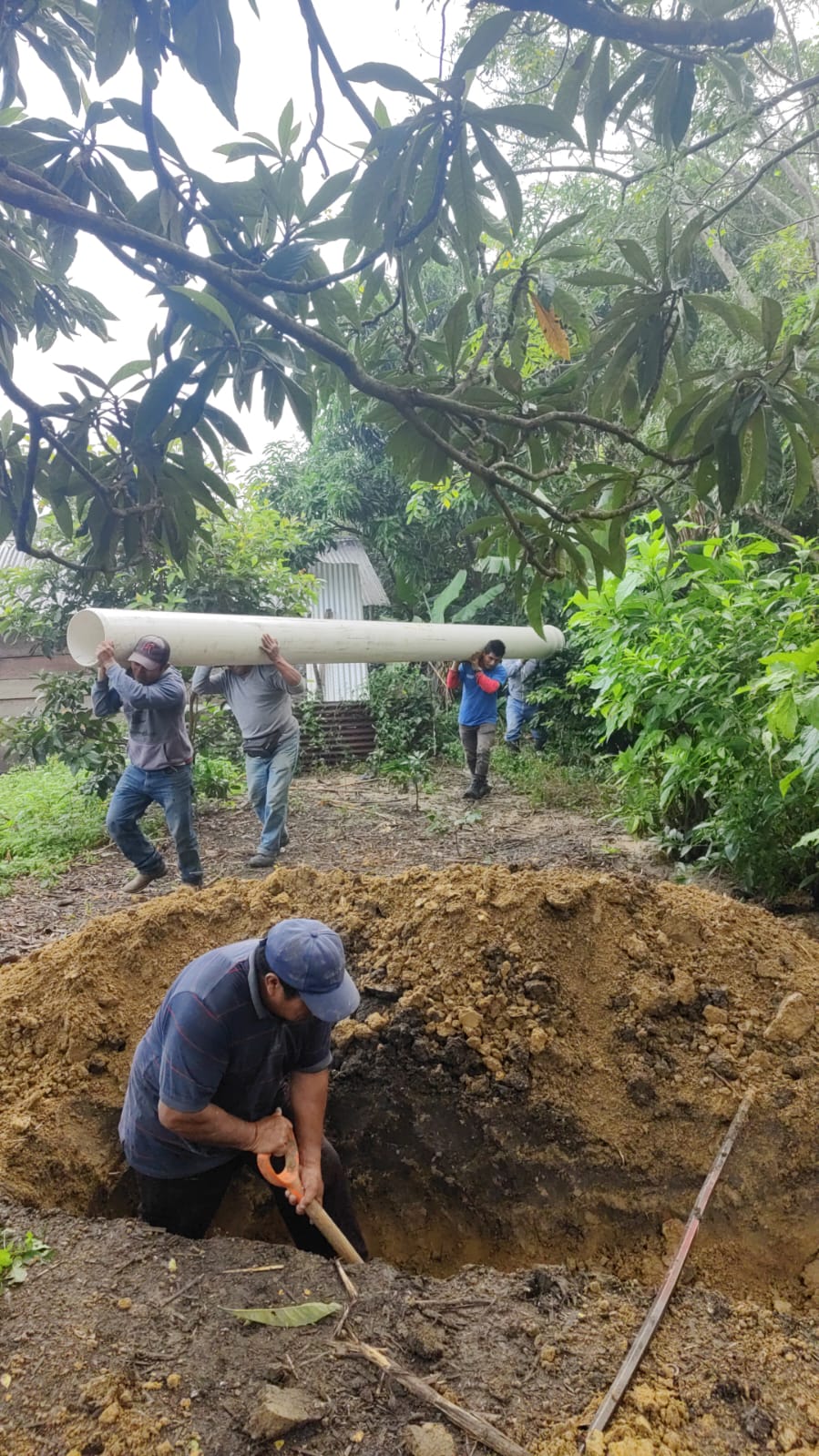 Reporte de Calidad del Agua